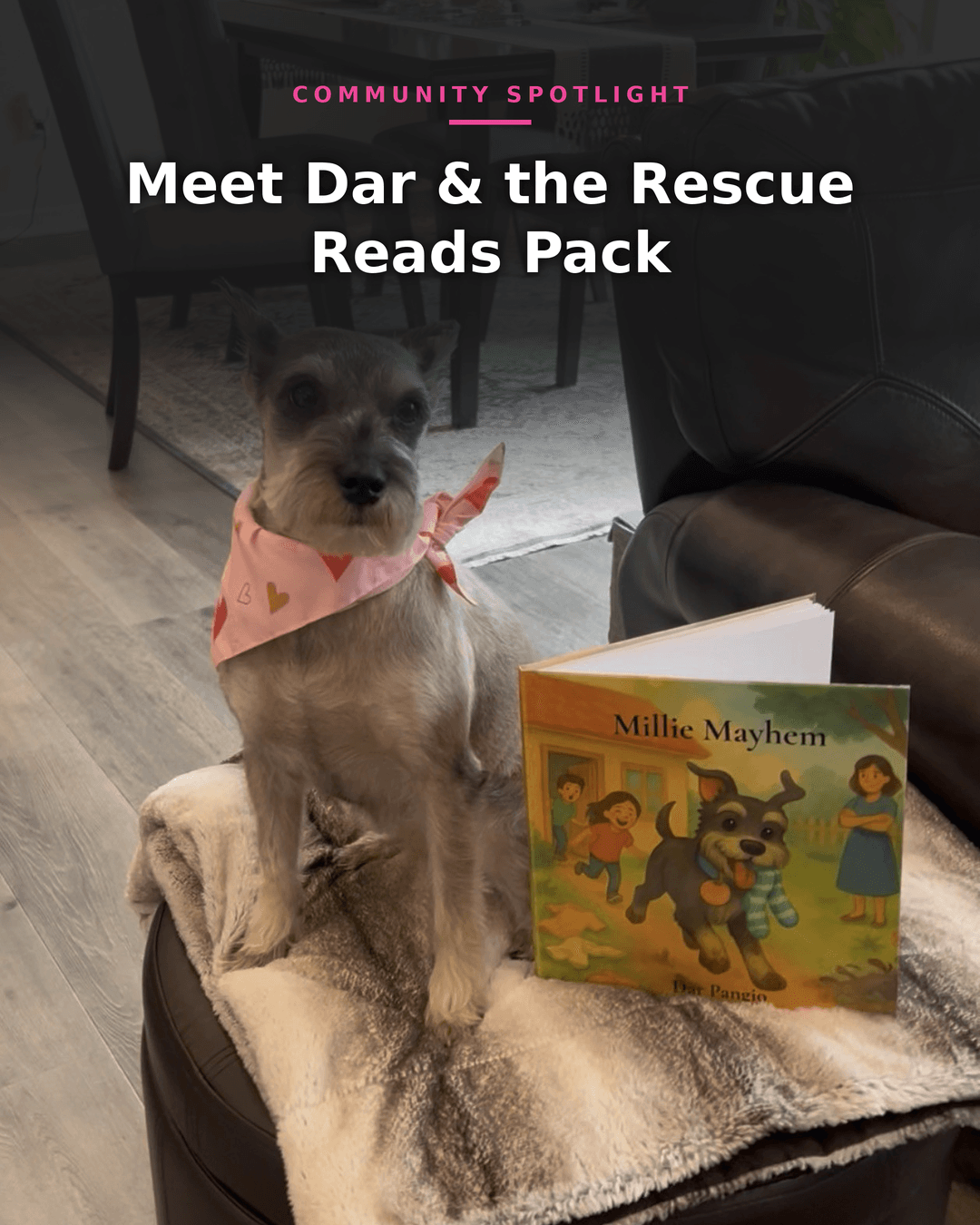 An image added to the post.