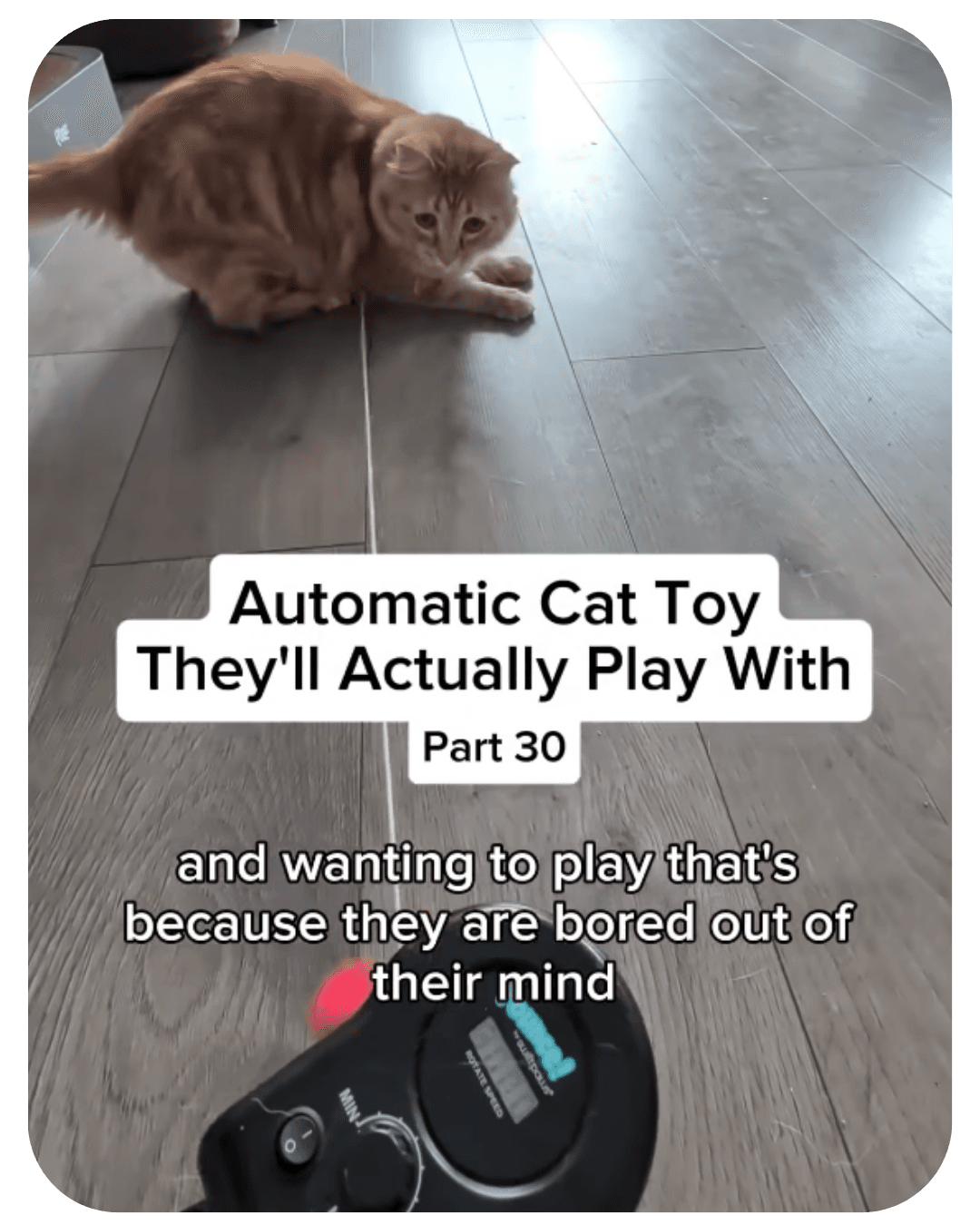 An image added to the post.