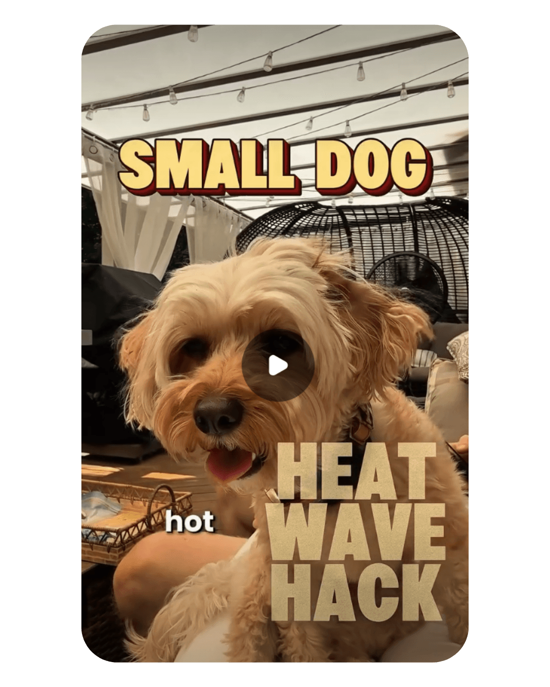 An image added to the post.